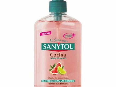 Sapone Liquido Mani con Dosatore Sanytol 280120 Cucina 250 ml on Sale